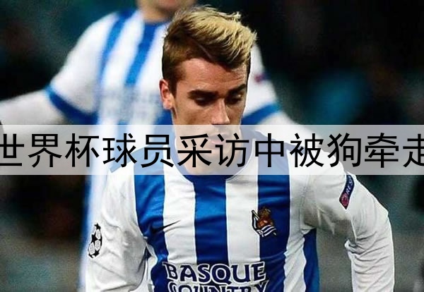 世界杯球员采访中被狗牵走